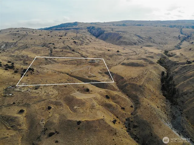 a picture of flowers