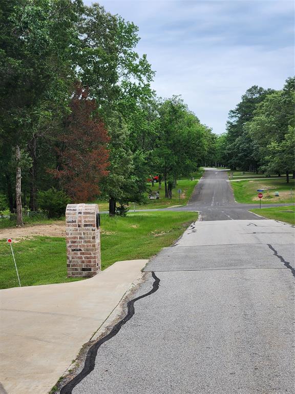 9042 Safari Bluff Larue, TX 75770 - Photo 11 of 40 a view of a park with large trees
