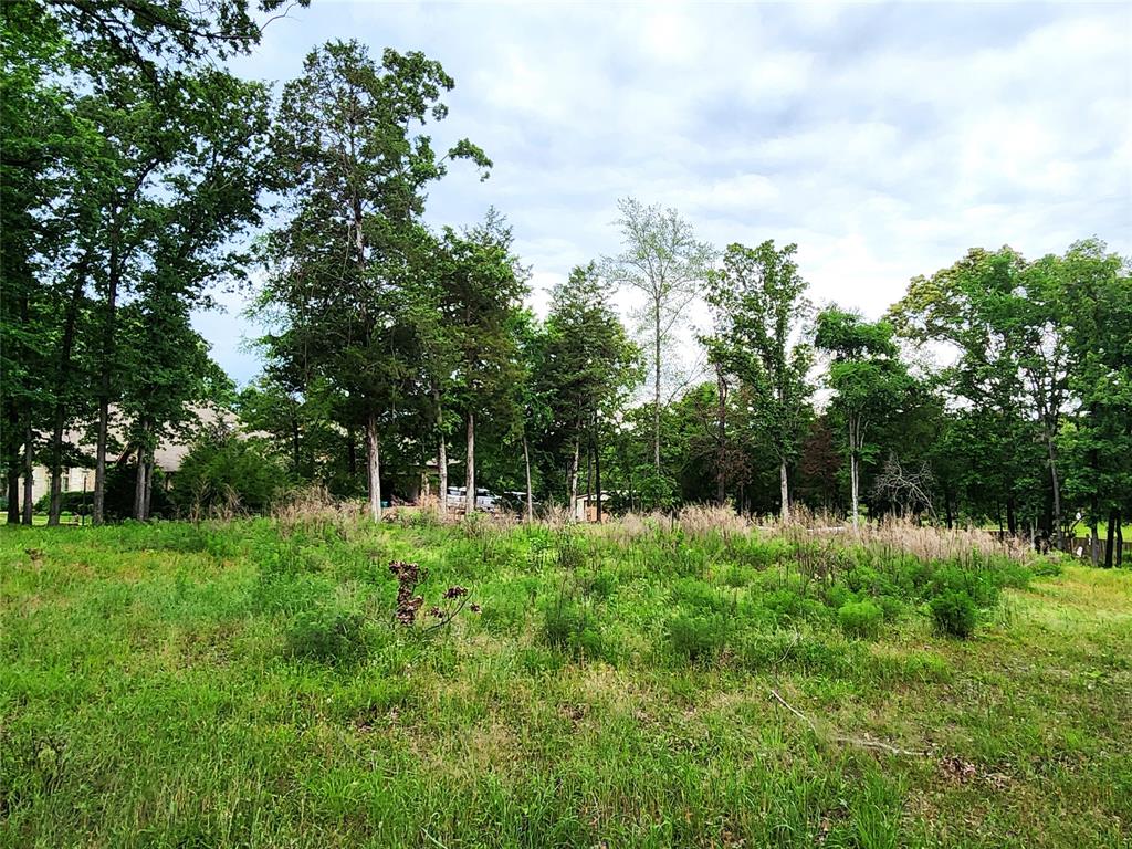 9042 Safari Bluff Larue, TX 75770 - Photo 12 of 40 a view of a back yard