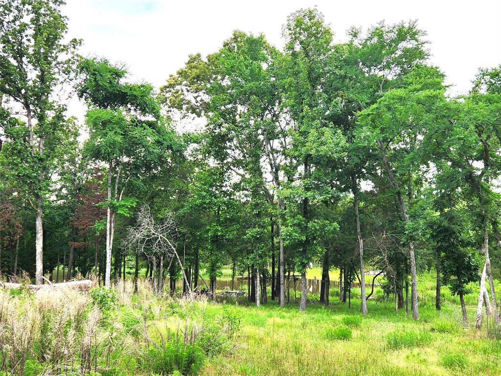 9042 Safari Bluff Larue, TX 75770 - Photo 13 of 40 a view of backyard with green space