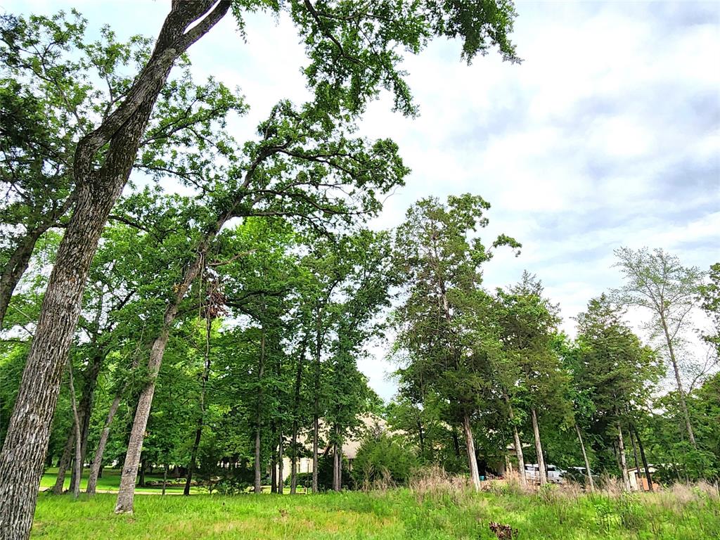 9042 Safari Bluff Larue, TX 75770 - Photo 14 of 40 a backyard of a house with lots of trees