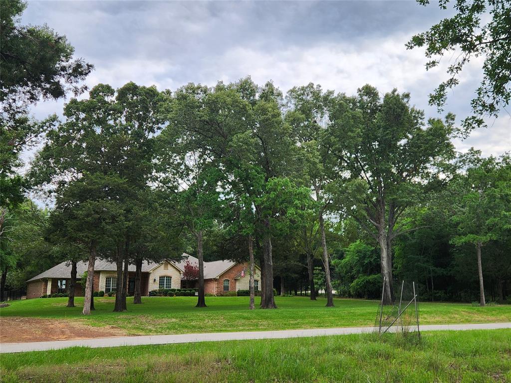 9042 Safari Bluff Larue, TX 75770 - Photo 15 of 40 a view of a park with large trees