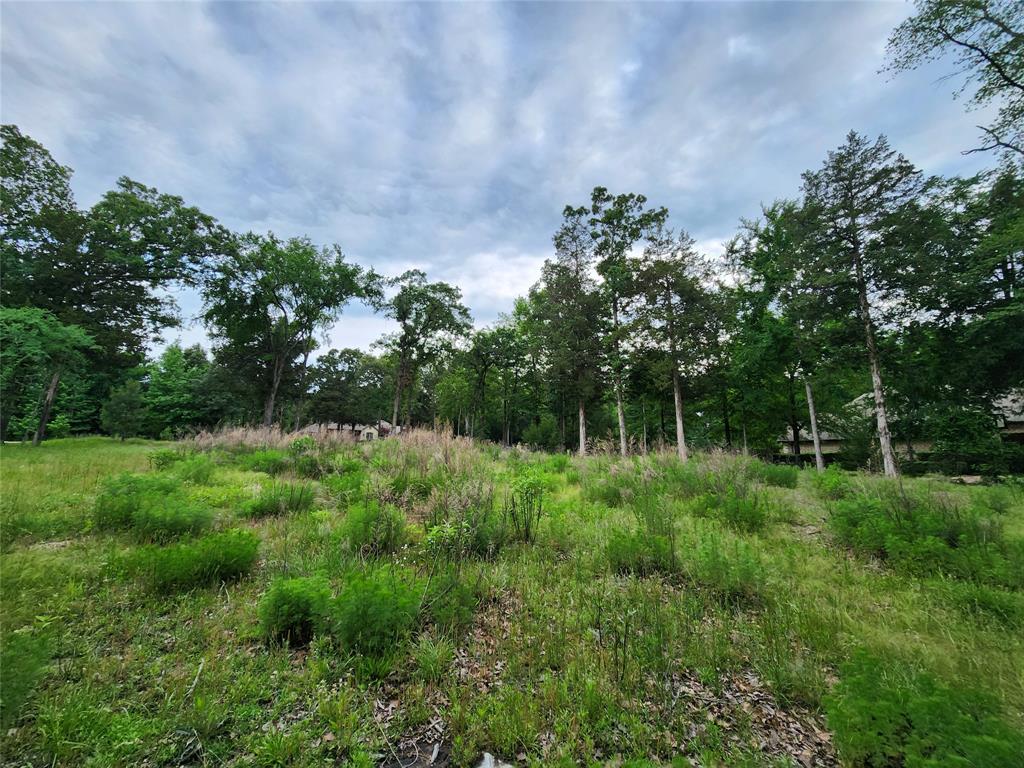 9042 Safari Bluff Larue, TX 75770 - Photo 16 of 40 a view of a lush green space