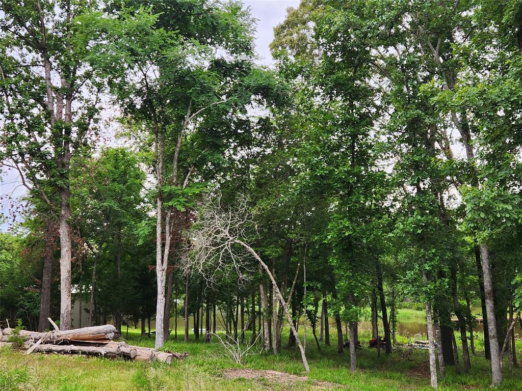 9042 Safari Bluff Larue, TX 75770 - Photo 19 of 40 a backyard of a house with lots of trees