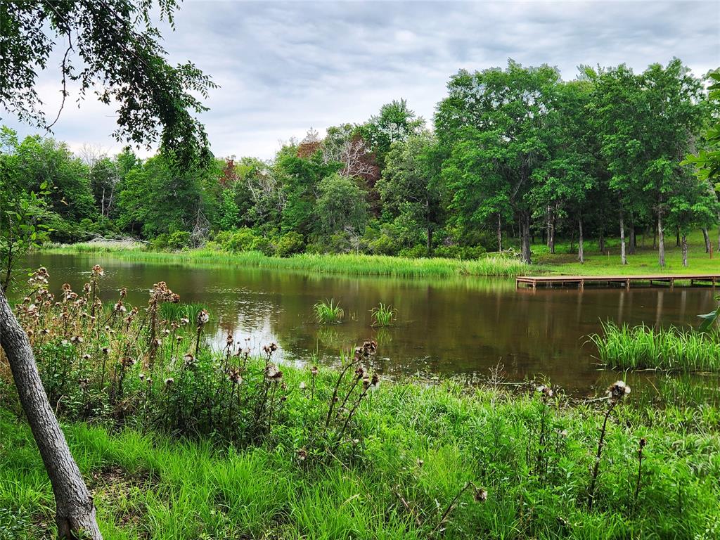 9042 Safari Bluff Larue, TX 75770 - Photo 20 of 40 a view of a lake with a garden