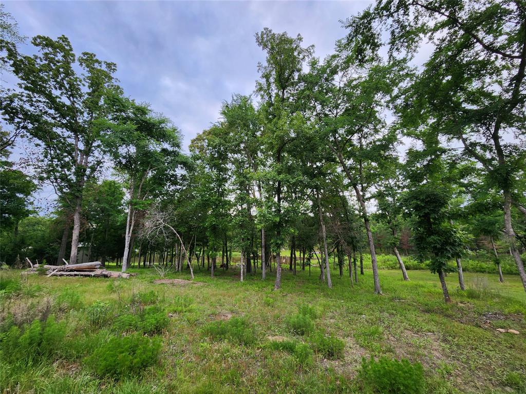 9042 Safari Bluff Larue, TX 75770 - Photo 21 of 40 a view of outdoor space with green field and trees