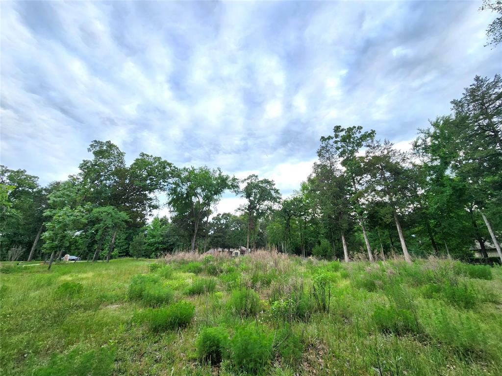 9042 Safari Bluff Larue, TX 75770 - Photo 22 of 40 a backyard of a house with lots of green space