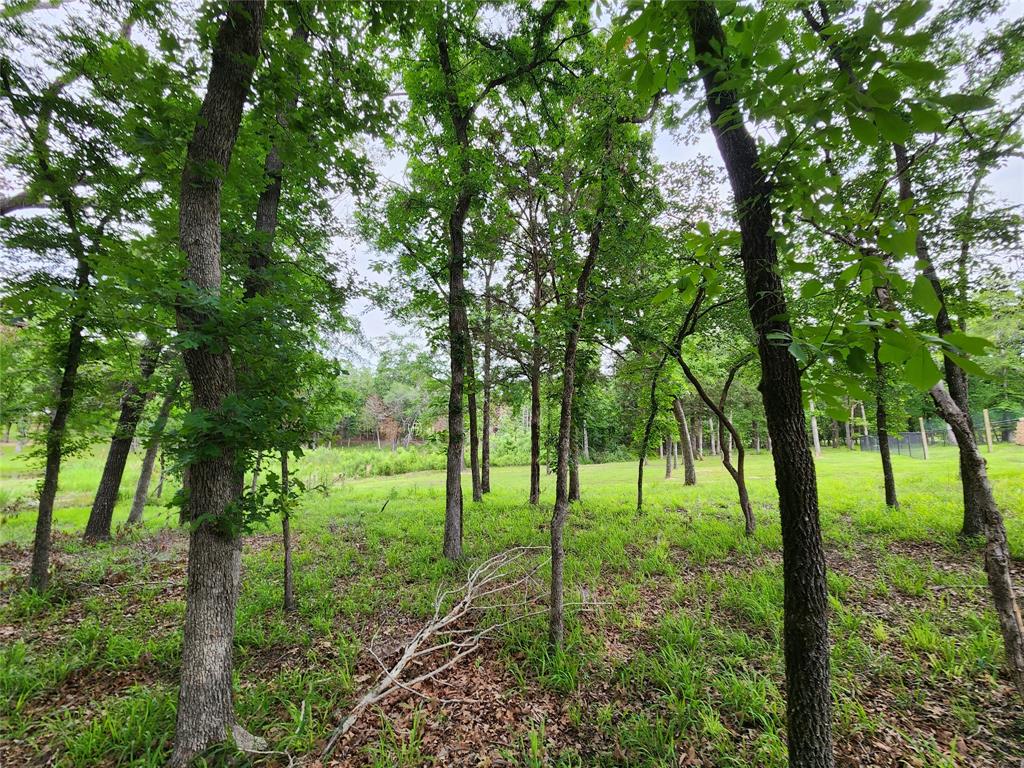 9042 Safari Bluff Larue, TX 75770 - Photo 25 of 40 a view of yard with green space