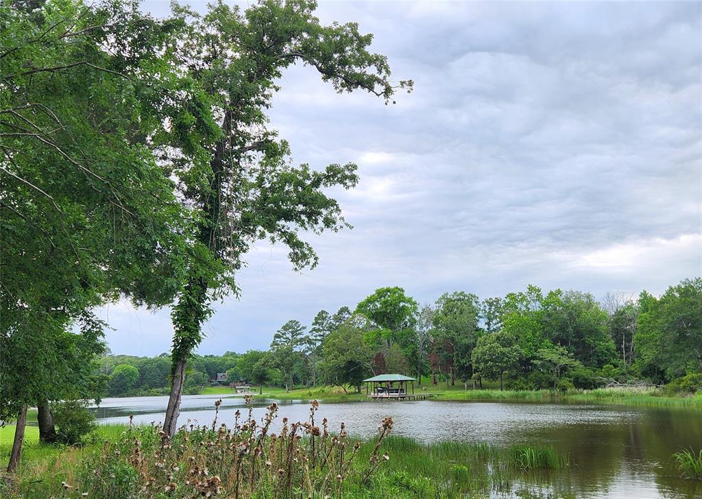 9042 Safari Bluff Larue, TX 75770 - Photo 29 of 40 a view of lake with a yard