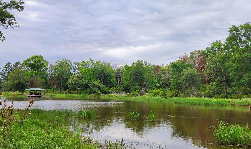 9042 Safari Bluff Larue, TX 75770 - Photo 3 of 40 a view of a lake with a yard and a large tree
