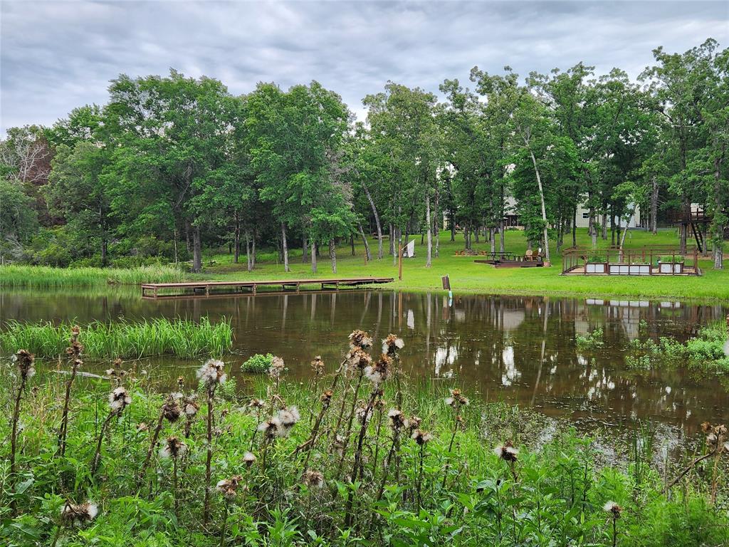 9042 Safari Bluff Larue, TX 75770 - Photo 31 of 40 a view of a lake with a yard and large trees