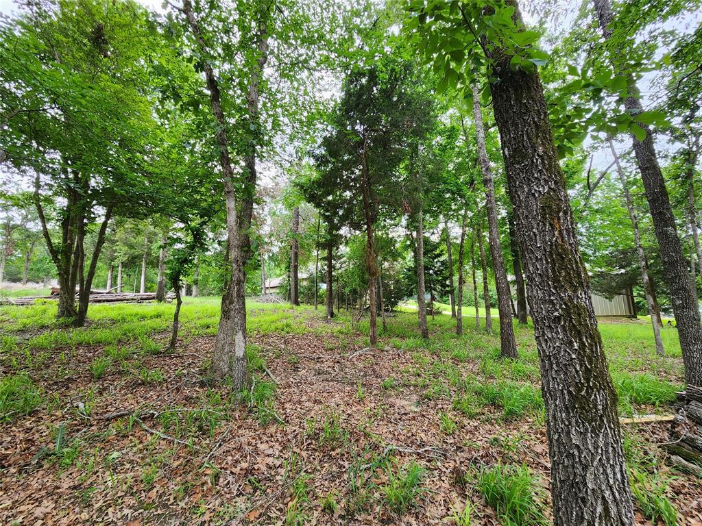 9042 Safari Bluff Larue, TX 75770 - Photo 32 of 40 a view of a green field with lots of trees