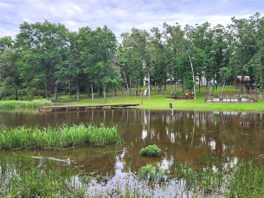 9042 Safari Bluff Larue, TX 75770 - Photo 34 of 40 a view of a lake with a big yard and potted plants and large trees