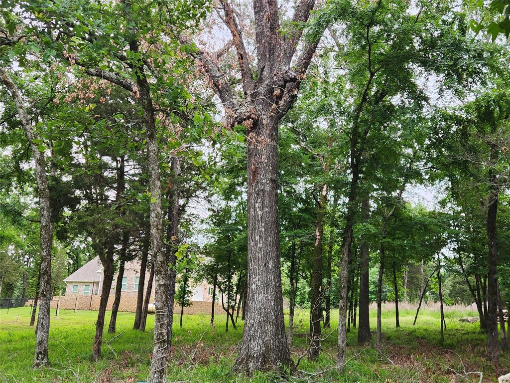 9042 Safari Bluff Larue, TX 75770 - Photo 39 of 40 a big yard with lots of green space and trees