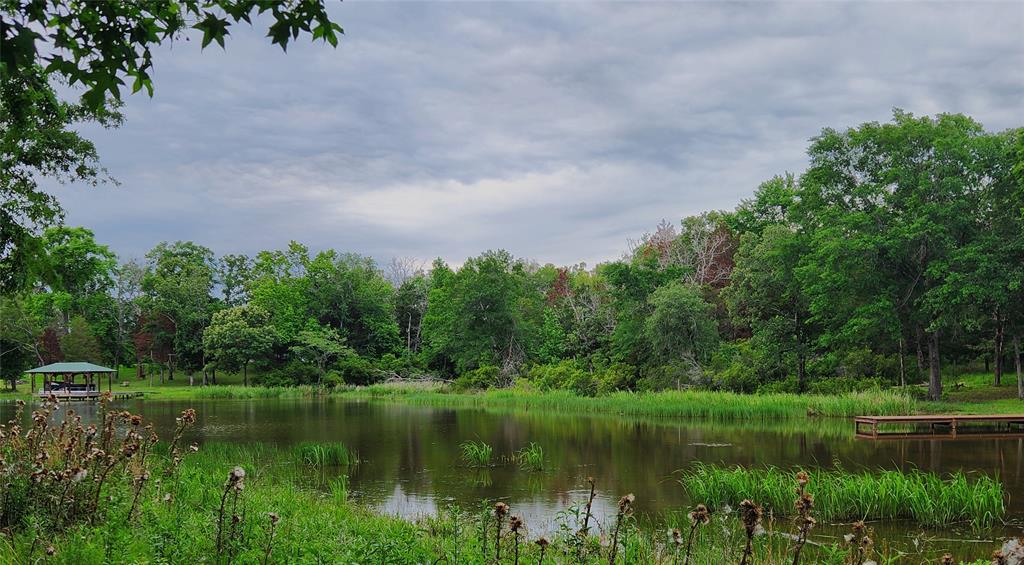 9042 Safari Bluff Larue, TX 75770 - Photo 40 of 40 a view of a lake with a big yard and large trees