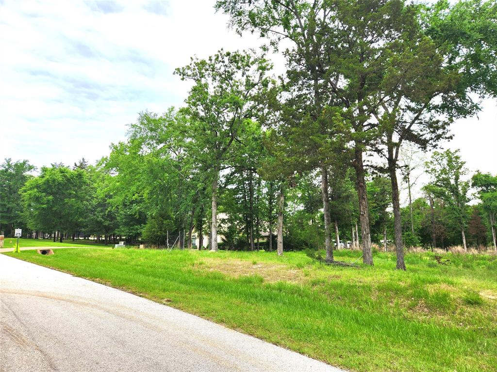 9042 Safari Bluff Larue, TX 75770 - Photo 6 of 40 a view of green field