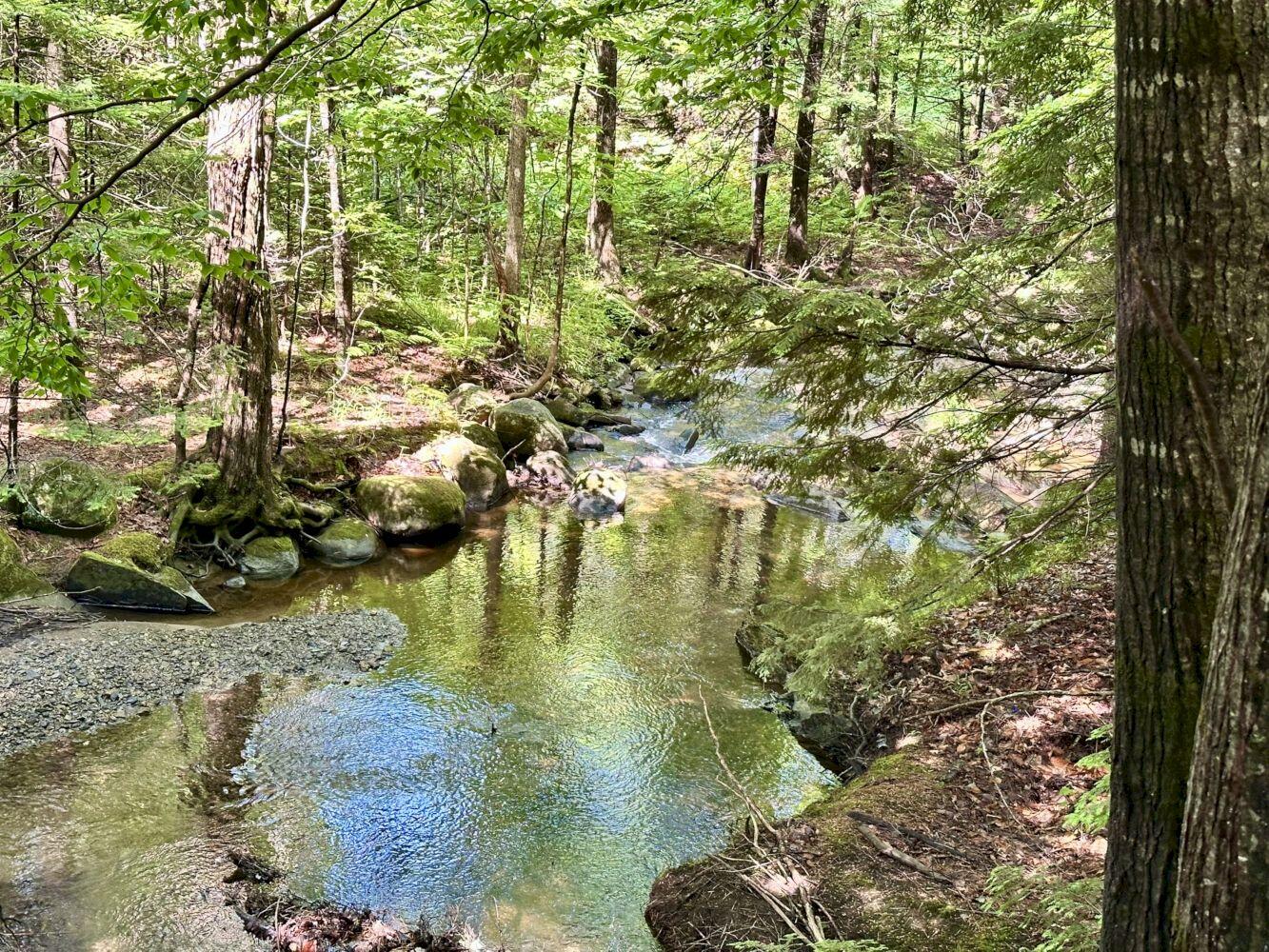 681 Temple Road Farmington, ME 04938 - Photo 40 of 74 image6_result