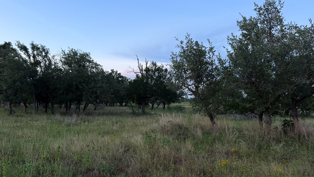 Lot #9 Slate Rock Road, Unit 9 Fredericksburg, TX 78624 - Photo 13 of 16