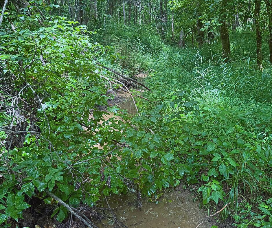 110 County Road Houston, MS 38851 - Photo 17 of 25 Gallery Image 17