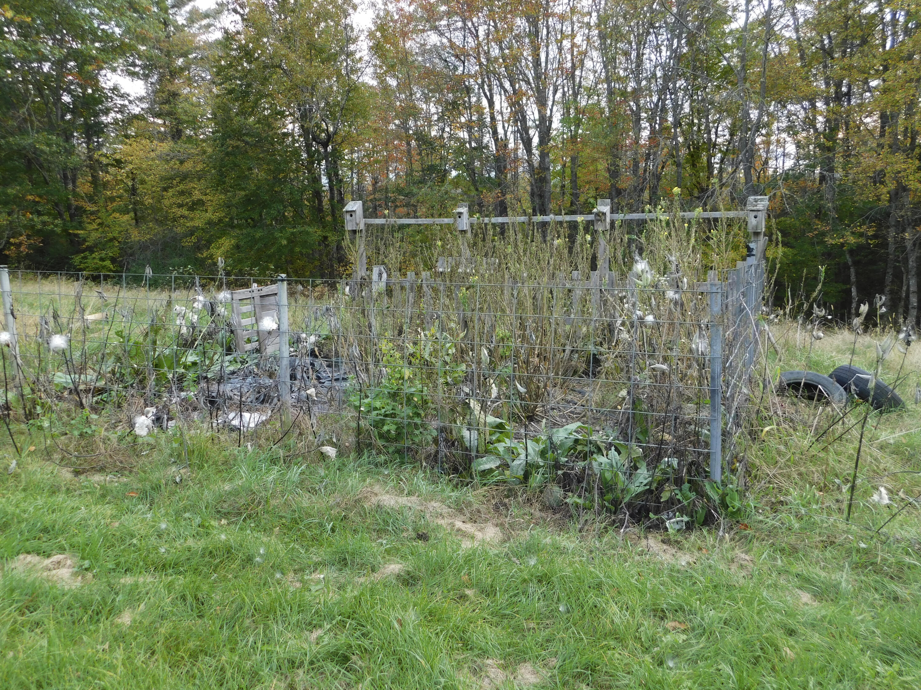483 Medford Road Milo, ME 04463 - Photo 61 of 73 Yard