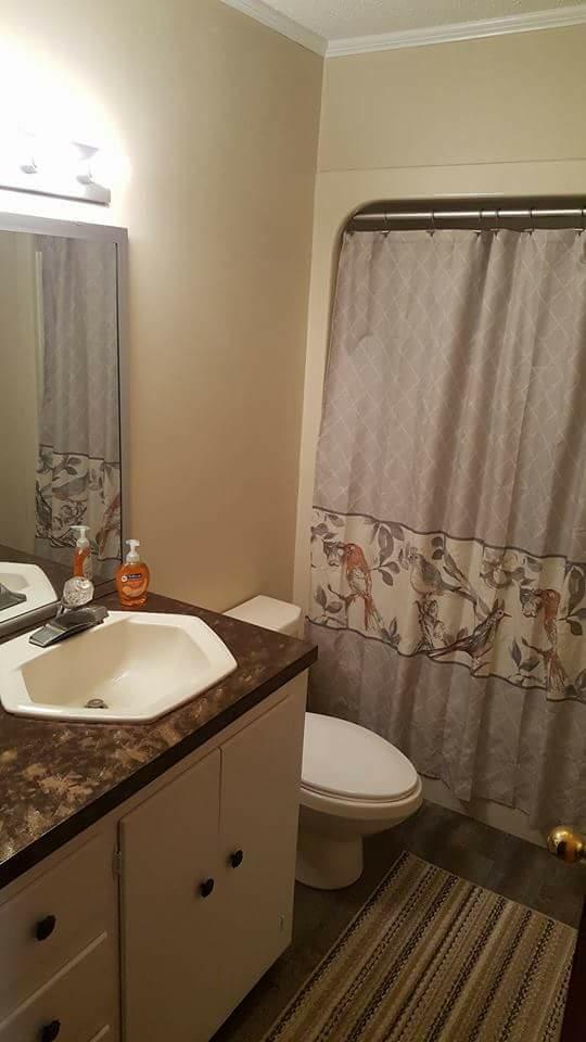 2124 State Rd S-15-28 Walterboro, SC 29488 - Photo 18 of 28 2nd bath