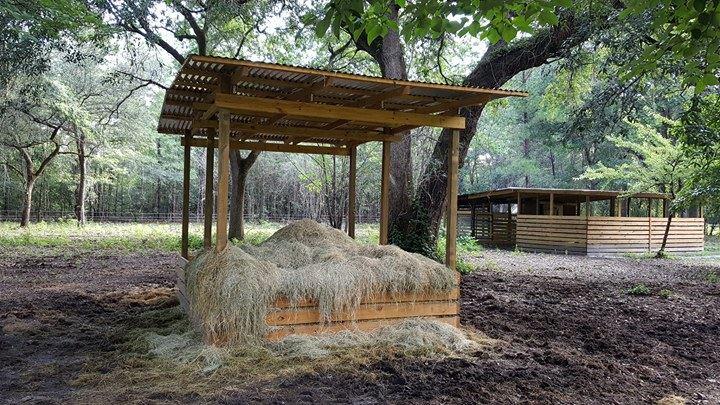 2124 State Rd S-15-28 Walterboro, SC 29488 - Photo 24 of 28 hay feeder
