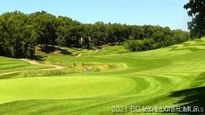 7 Columbine Road Four Seasons, MO 65049 - Photo 12 of 12 Golf Course
