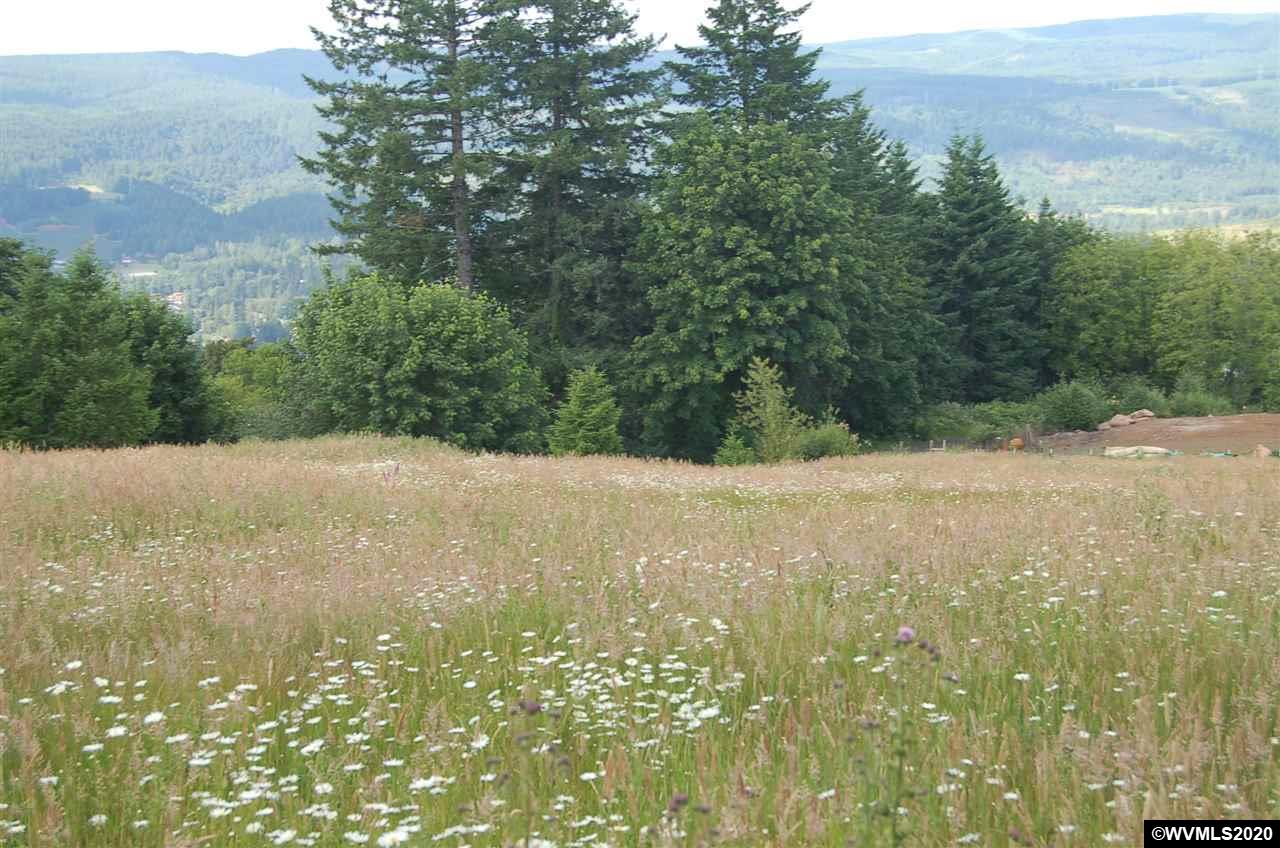 40593 North McCully Mountain Road Lyons, OR 97358 - Photo 4 of 6 Gallery Image 4