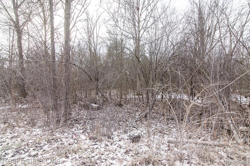 9061 Spencer Road Whitmore Lake, MI 48189 - Photo 3 of 15