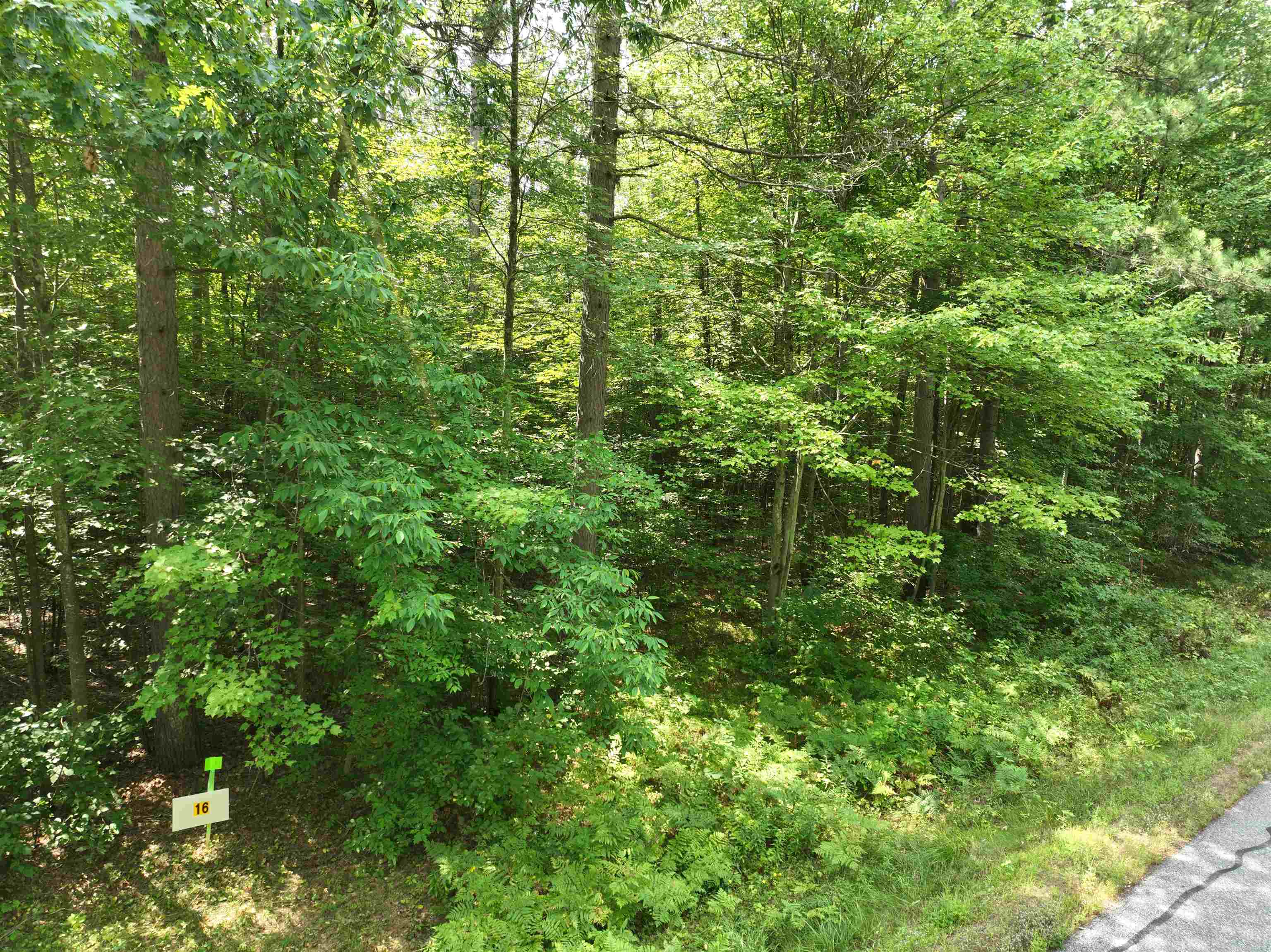 Lot 16 Burma Road Mosinee, WI 54455 - Photo 5 of 6 Gallery Image 5