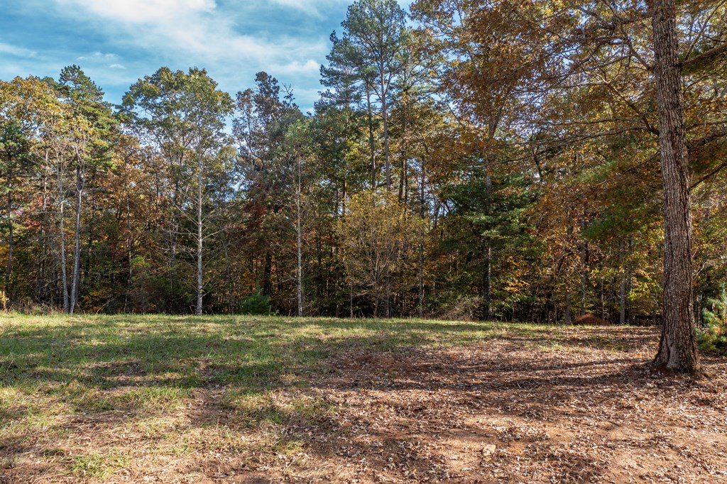 300 Springbrook Lane Murphy, NC 28906 - Photo 16 of 39 Gallery Image 16