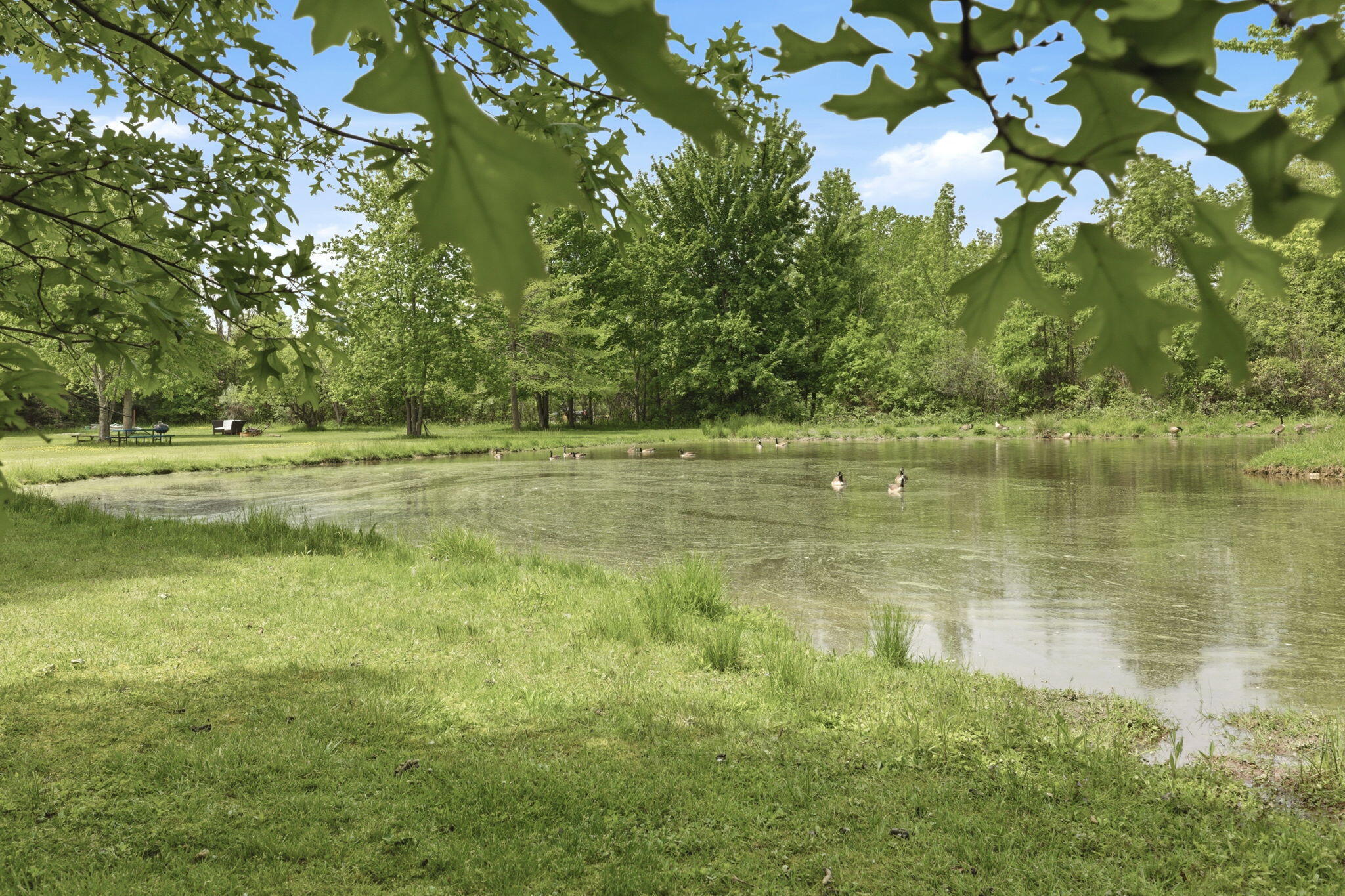 7767 Warren Woods Road Three Oaks, MI 49128 - Photo 46 of 59 Pond