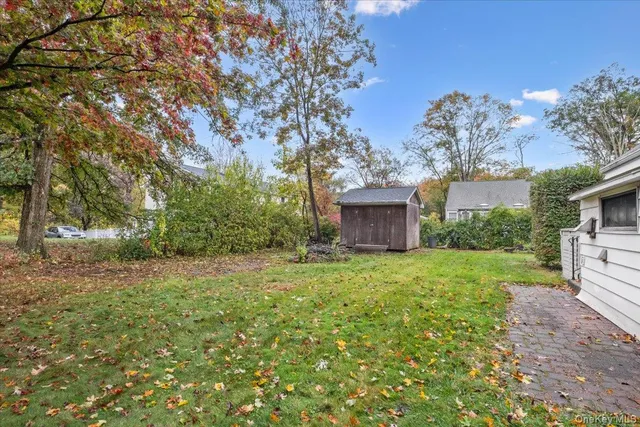 a view of a big yard with plants and large trees