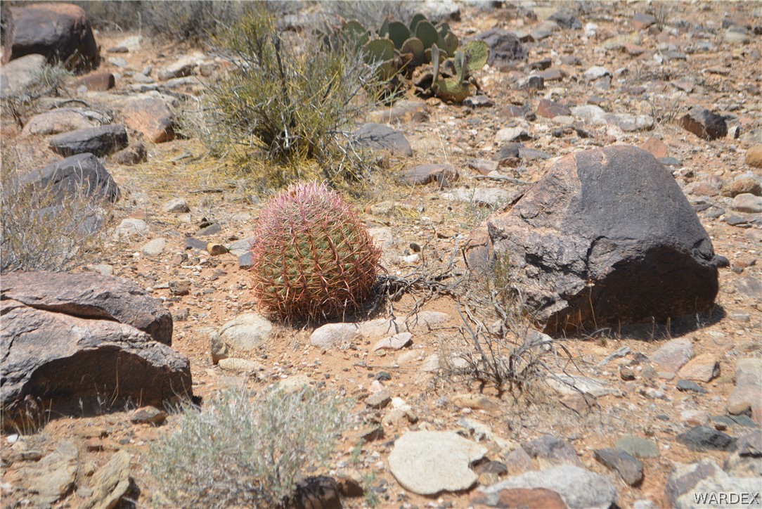 208-24-134 Cameron Road Yucca, AZ 86438 - Photo 10 of 86