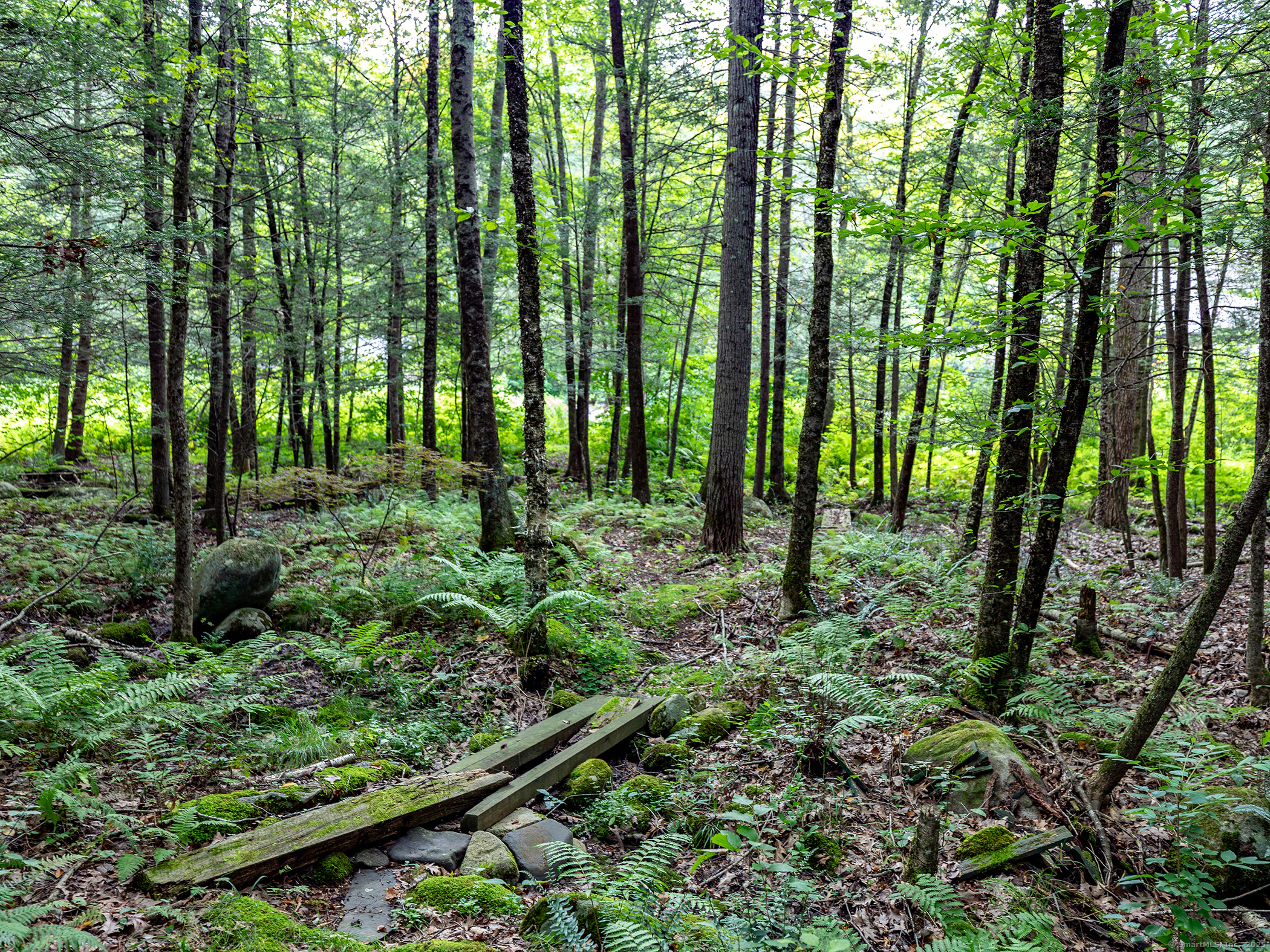 337 Romford Road Washington, CT 06777 - Photo 34 of 38 a view of outdoor space and garden