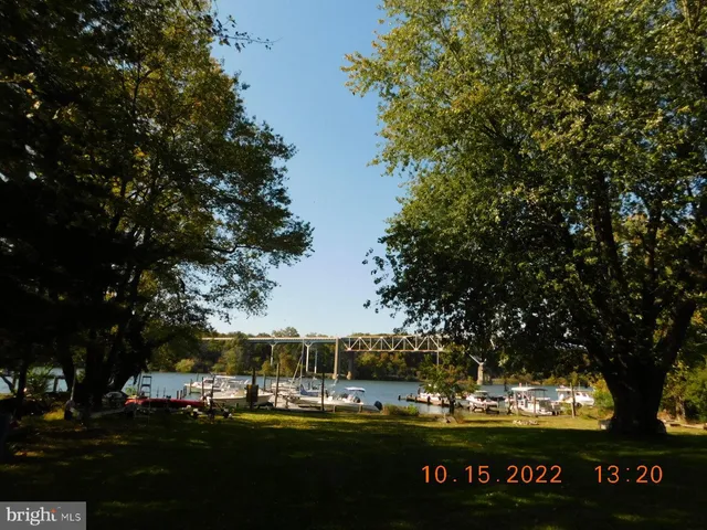 a view of a swimming pool with a garden