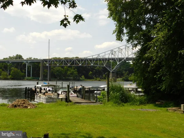 a view of a park with large trees