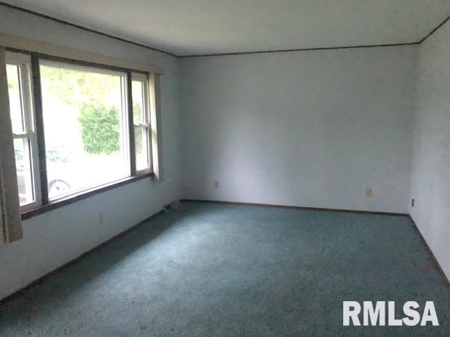 405 3rd Street Colp, IL 62918 - Photo 3 of 15