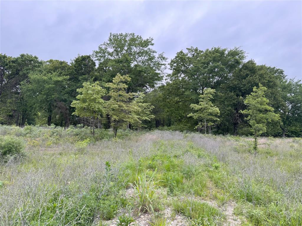 Lot 25 Rains County Road 2610 Alba, TX 75410 - Photo 7 of 14 a view of a yard with a tree
