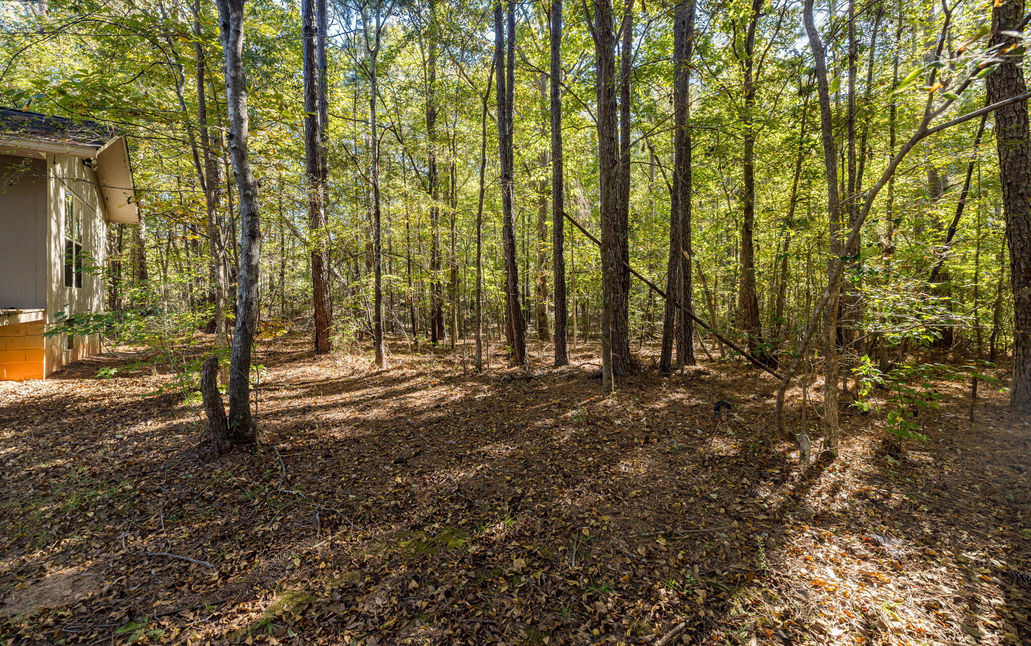 6768 Cobbham Road Appling, GA 30802 - Photo 66 of 73 SBP_0877