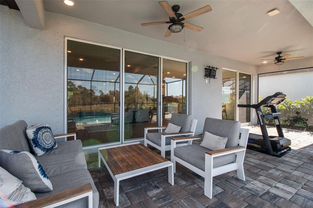 19912 Bridgetown Loop Venice, FL 34293 - Photo 37 of 49 a living room with furniture and a potted plant