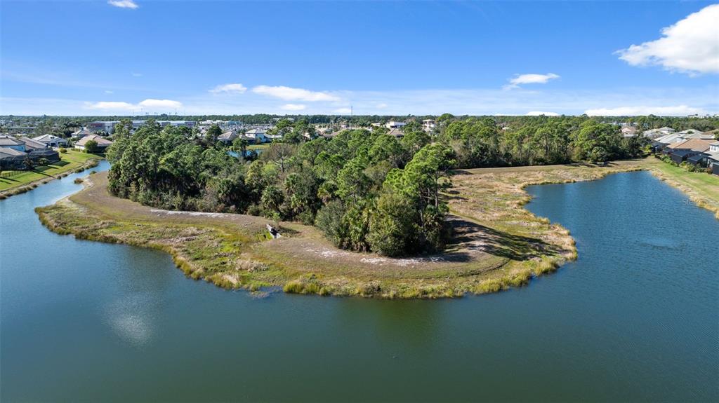 19912 Bridgetown Loop Venice, FL 34293 - Photo 42 of 49 a view of a lake in middle of forest