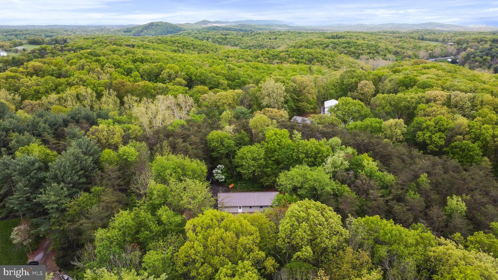 11890 Mountain Ash Road Clear Spring, MD 21722 - Photo 15 of 46