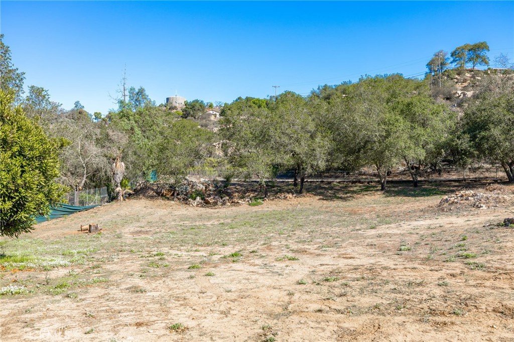 6472 Rainbow Heights Road Rainbow, CA 92028 - Photo 22 of 65 a view of a yard