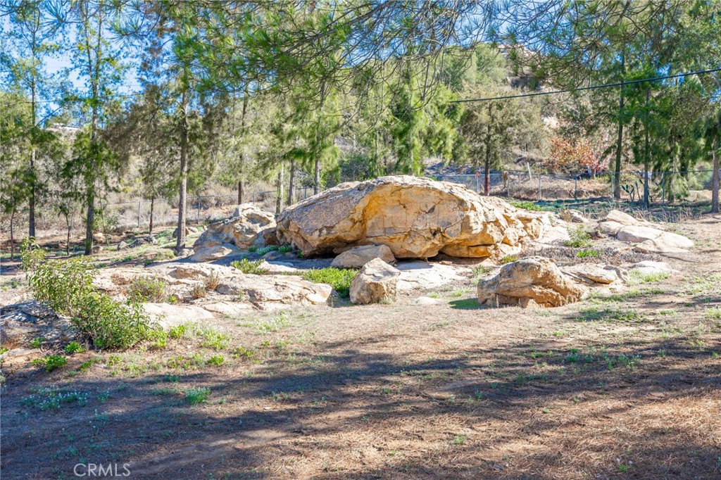 6472 Rainbow Heights Road Rainbow, CA 92028 - Photo 26 of 65 a view of a yard with an tree