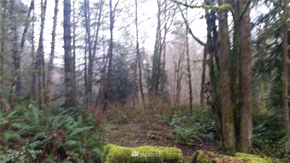 4742 Southwest Hunter Road Port Orchard, WA 98367 - Photo 2 of 3 Gallery Image 2