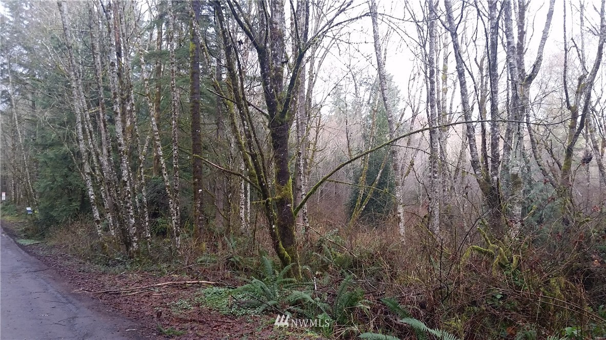 4742 Southwest Hunter Road Port Orchard, WA 98367 - Photo 3 of 3 Gallery Image 3