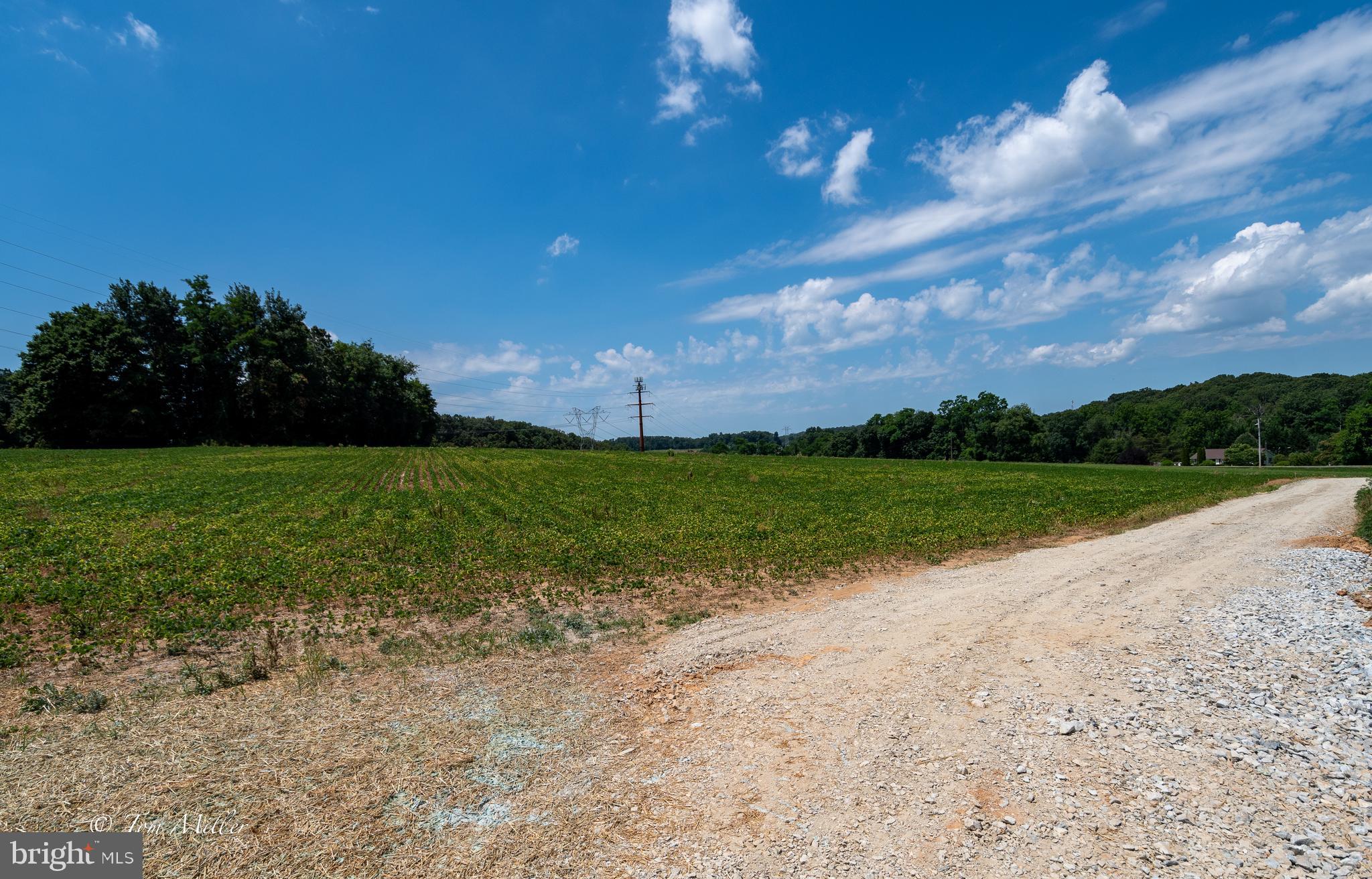 2551 Urey Road White Hall, MD 21161 - Photo 4 of 15 Gallery Image 4