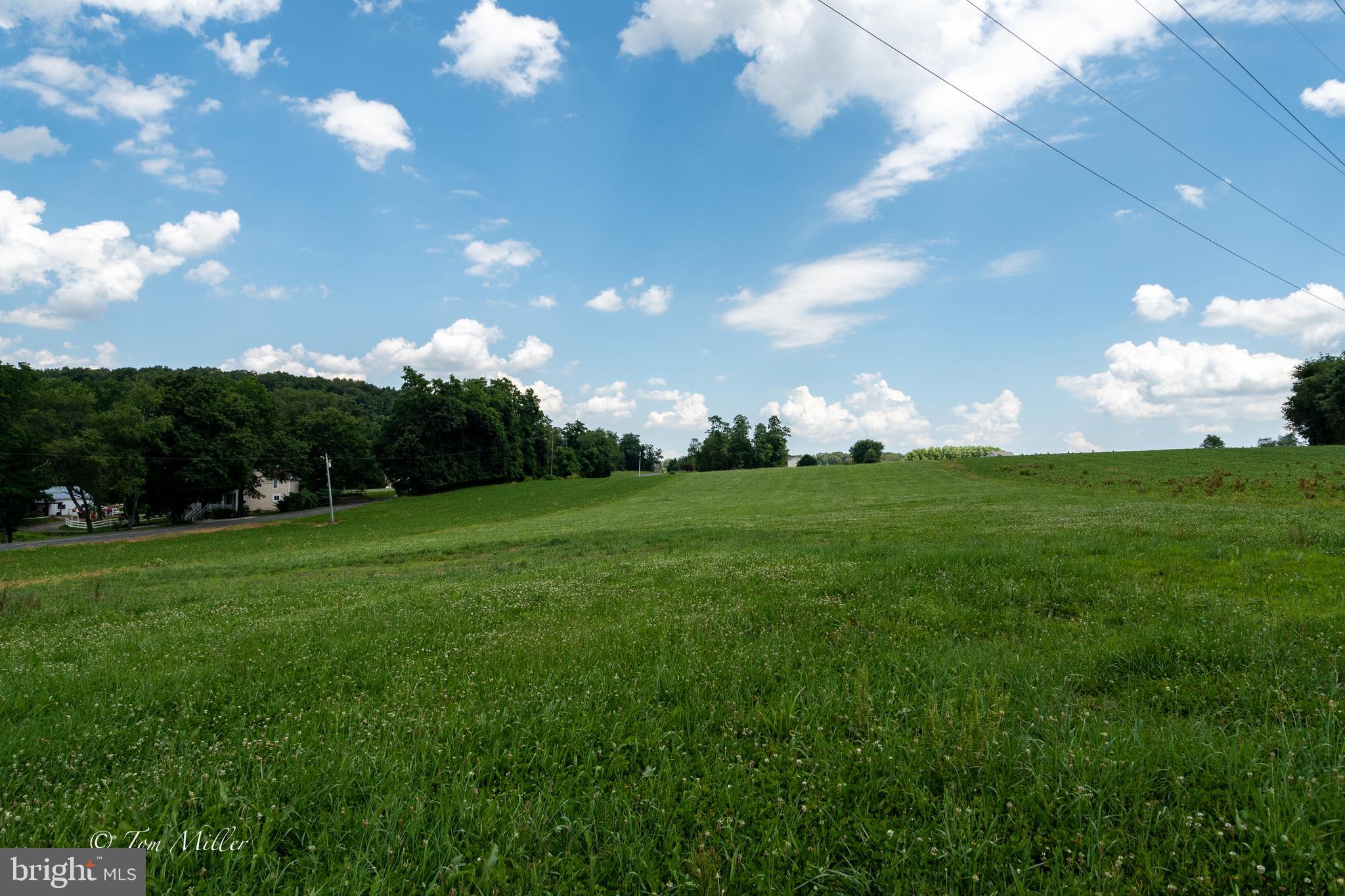 2551 Urey Road White Hall, MD 21161 - Photo 8 of 15 Gallery Image 8