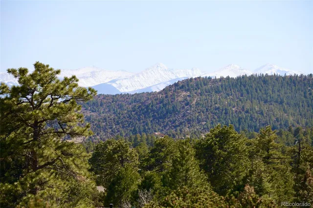 a view of a tree with yard